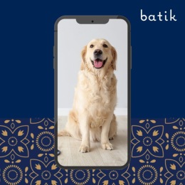 Let your fur baby paws and pose — we'd love for you to tag us in your favorite pet pic. 📸 Instagram post from @batikapts on January 27, 2025 00:00:00am