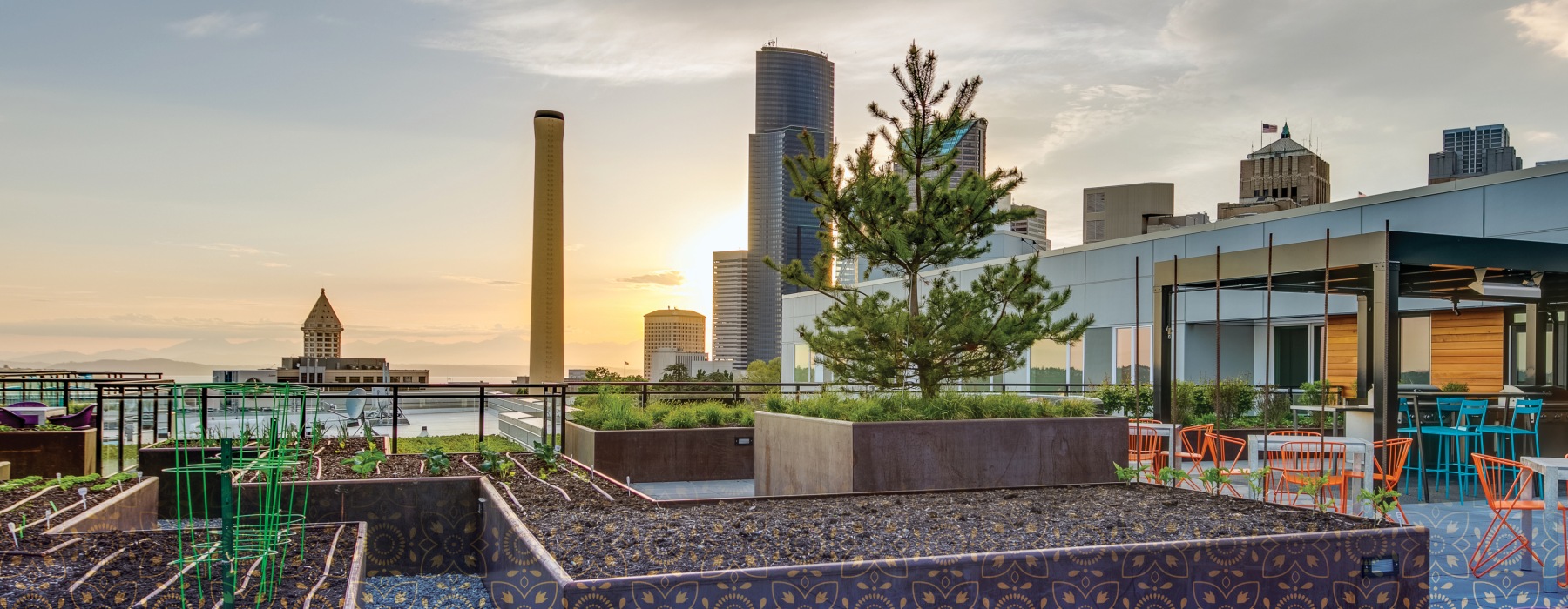 rooftop garden at sunset