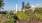 plant beds with greenery and city views in the background